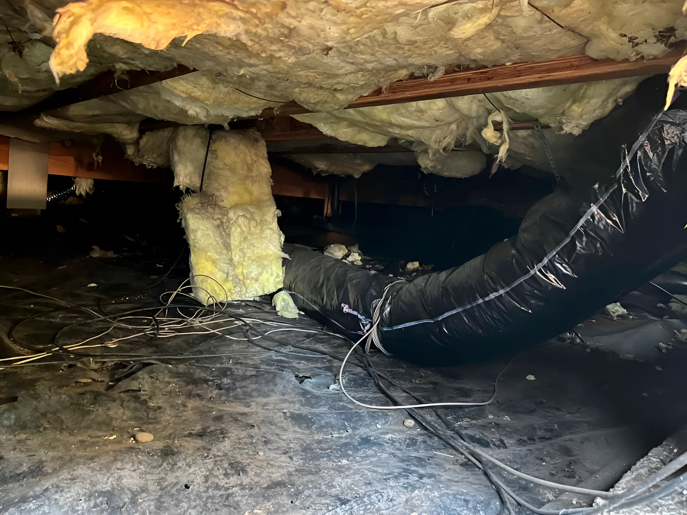insulation-removal-by-jtsinsulation