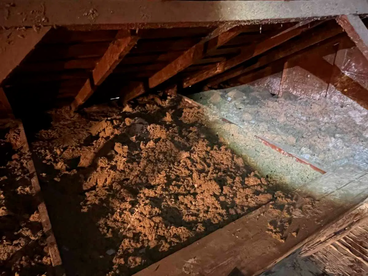 loose-fill-insulation-jts-insulation